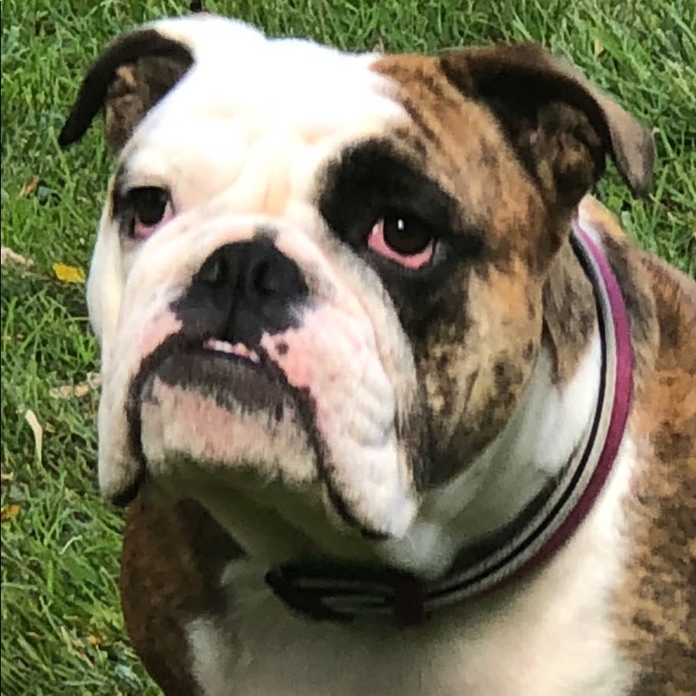 Meet your Posher, Kathy